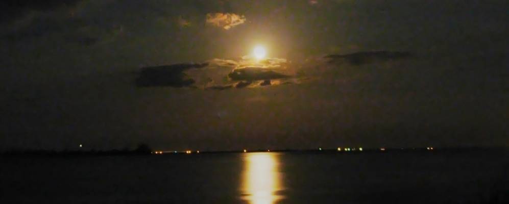 
            Фотография Майкко