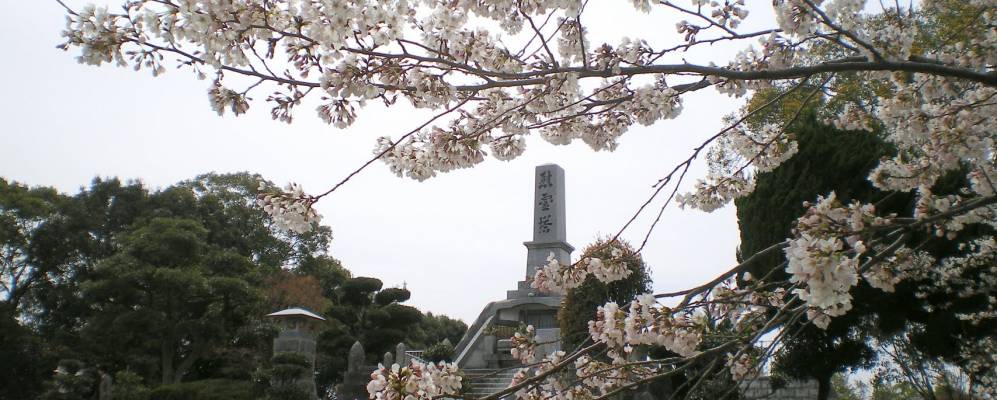 
            Фотография Маебару