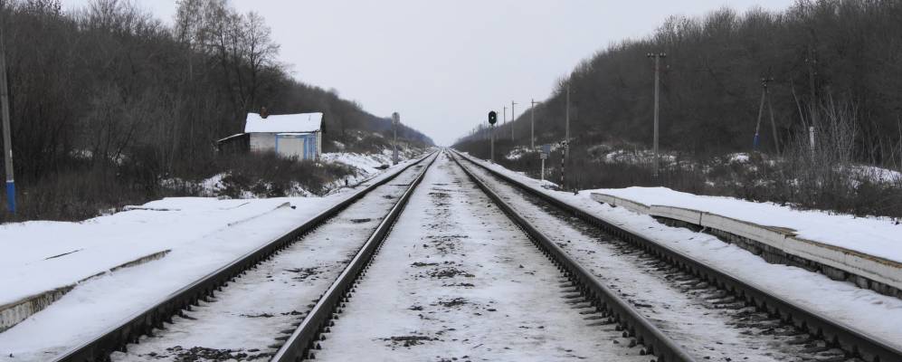 
            Фотография Кончаков