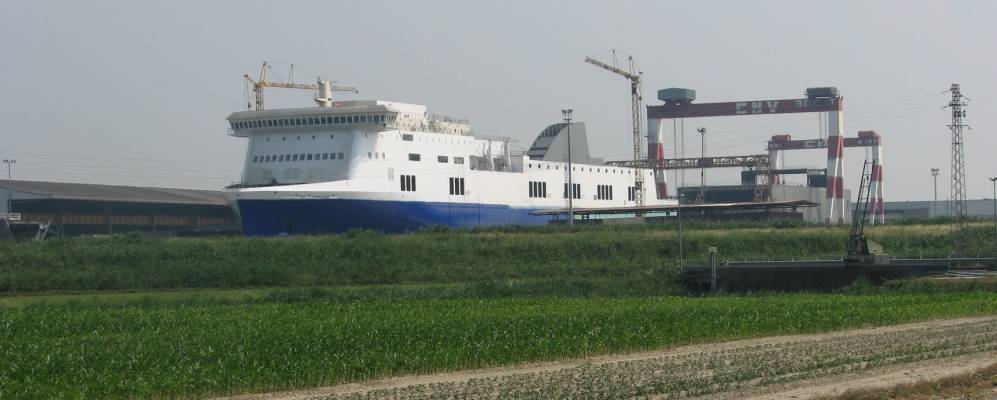 
            Фотография Розолины