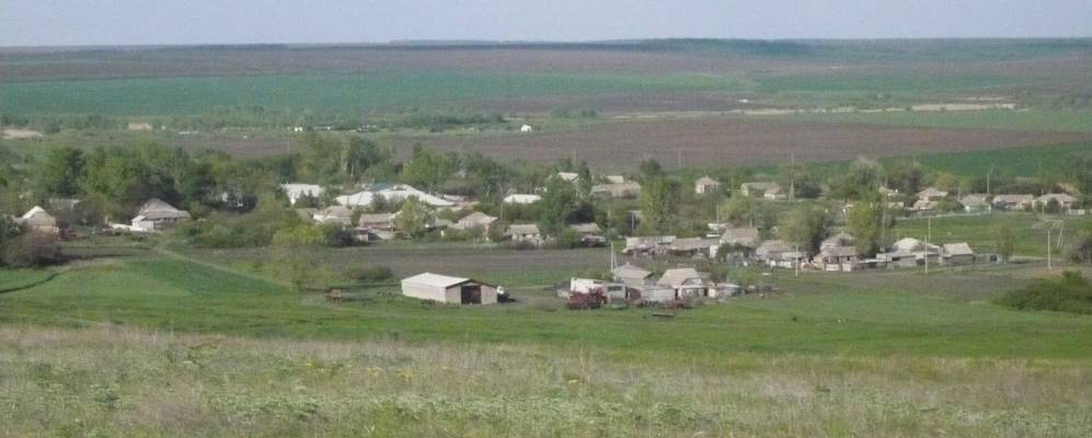 
            Фотография Плешакова