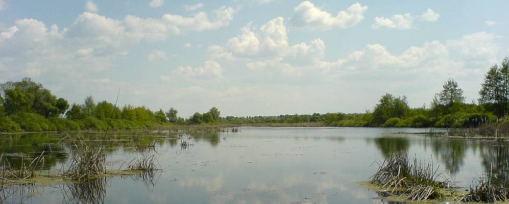 
            Фотография Нового