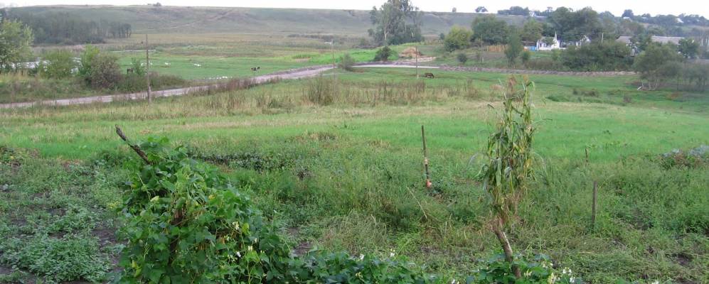 
            Фотография Червоного