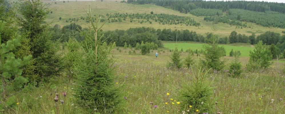 
            Фотография Зуев