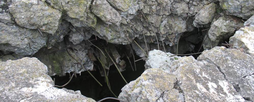 
            Фотография Тетеревца