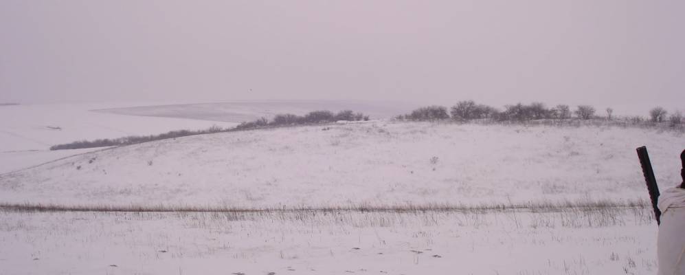 
            Фотография Сухой Журовки