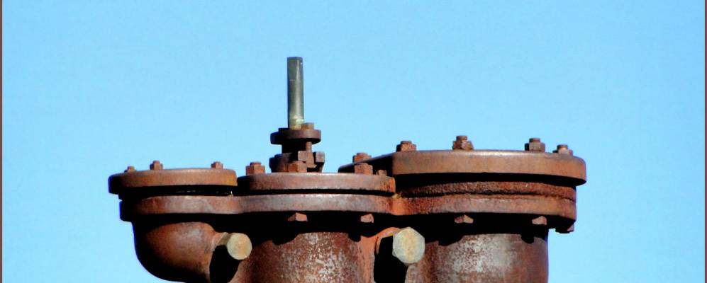 
            Фотография Büsumer Deichhausen