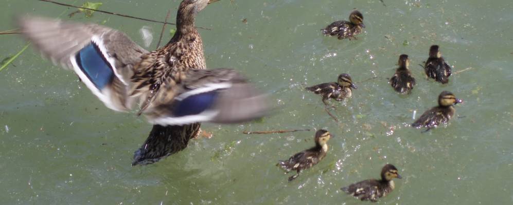 
            Фотография Унтерегери