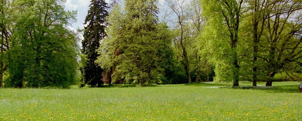 
            Фотография Путбуса