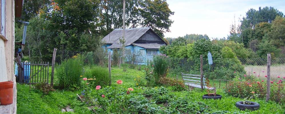 
            Фотография Меденицов