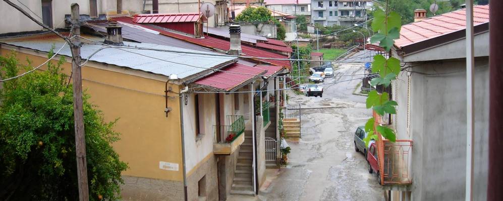 
            Фотография Динами