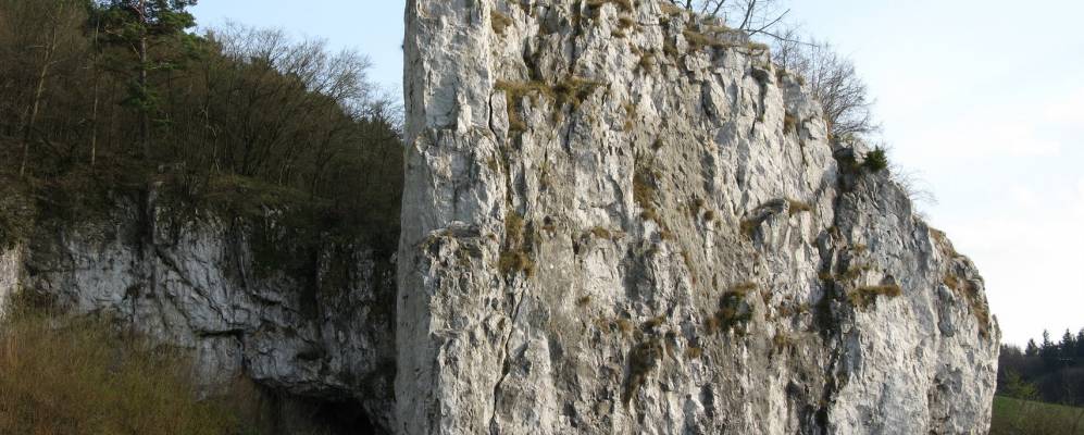 
            Фотография Слоупа