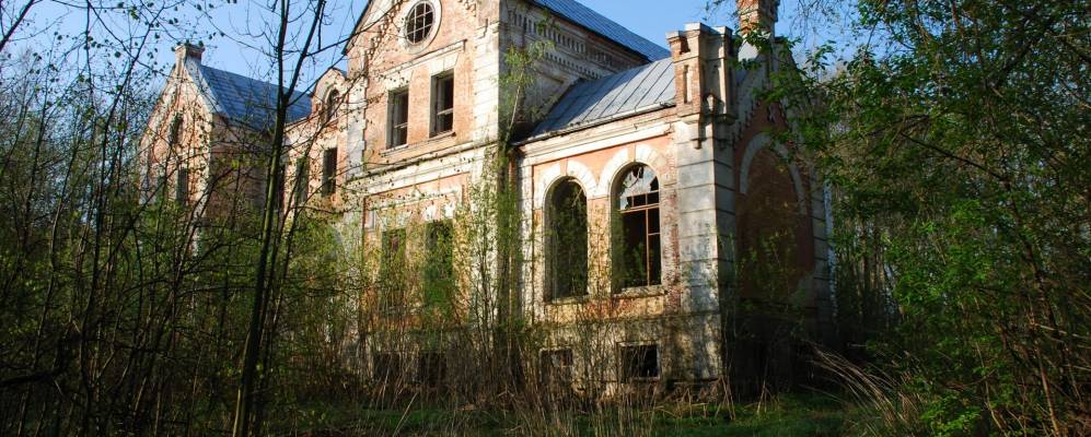 
            Фотография Сосенок