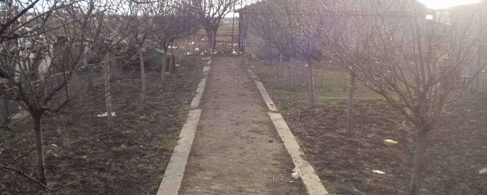 
            Фотография Плахтиевки