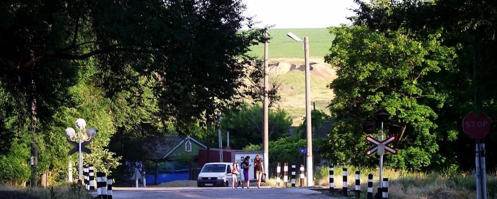 
            Фотография Яргары