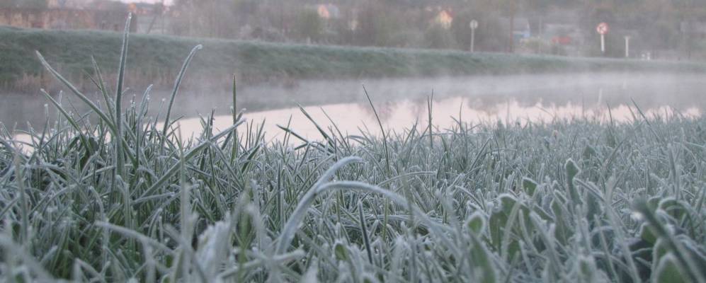 Фотография Агрогородка Полецкишки