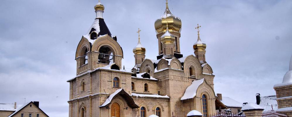 
            Фотография Лесопитомника