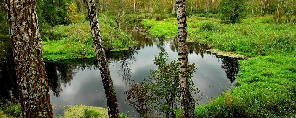 Фотография Нового Янчино