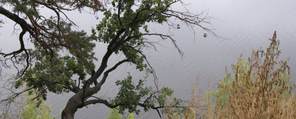 
            Фотография Сотово