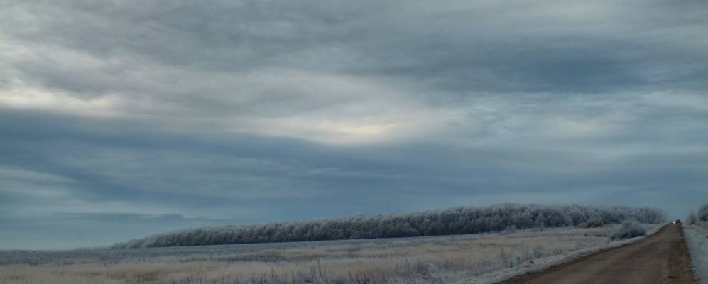 
            Фотография Ольховатки