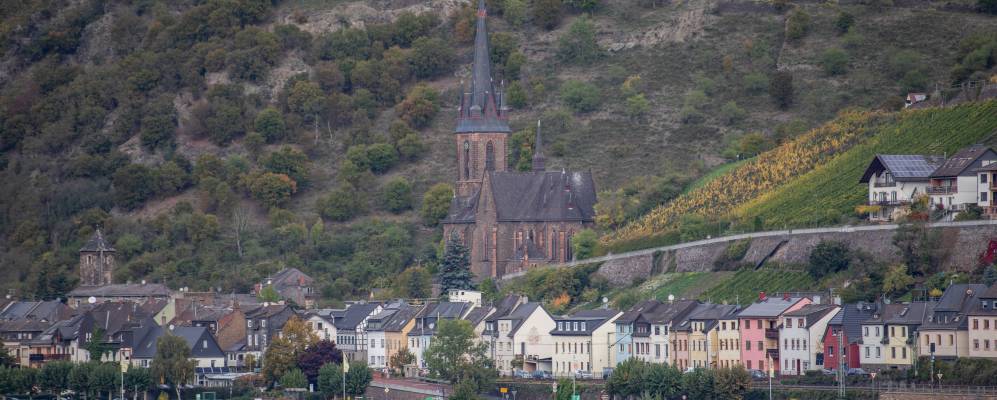 
            Фотография Лорх