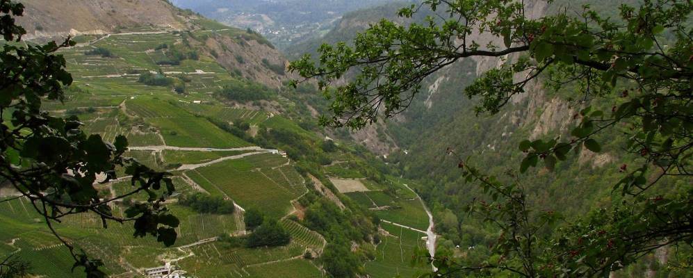 
            Фотография Уврье 