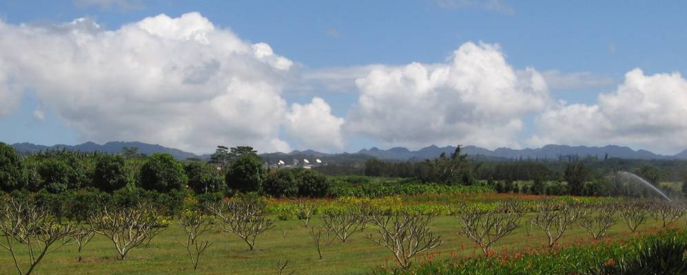 
            Фотография Уитмор-Виллидж