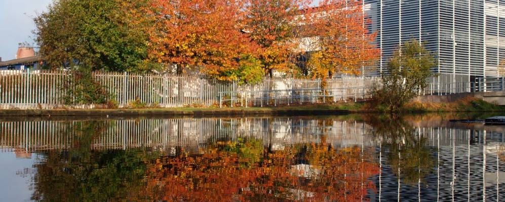 
            Фотография Сент-Хеленса