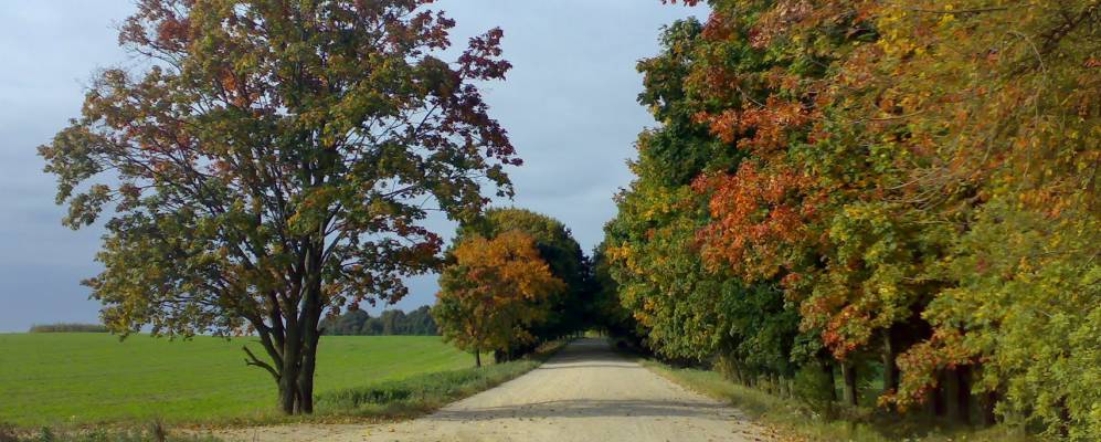 Фотография Валицковщины