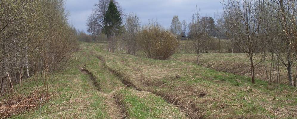 Фотография Козлово