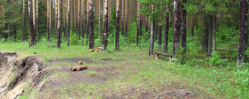 Фотография Толстиковых