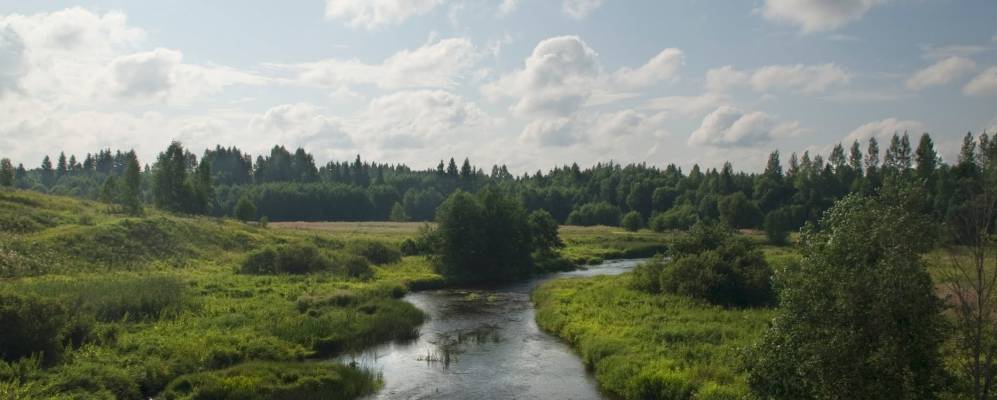 
            Фотография деревни Сосницы