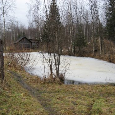 Удмуртский Пибаньшур