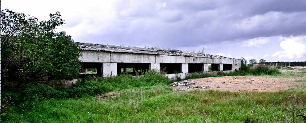 
            Фотография Рябиновки