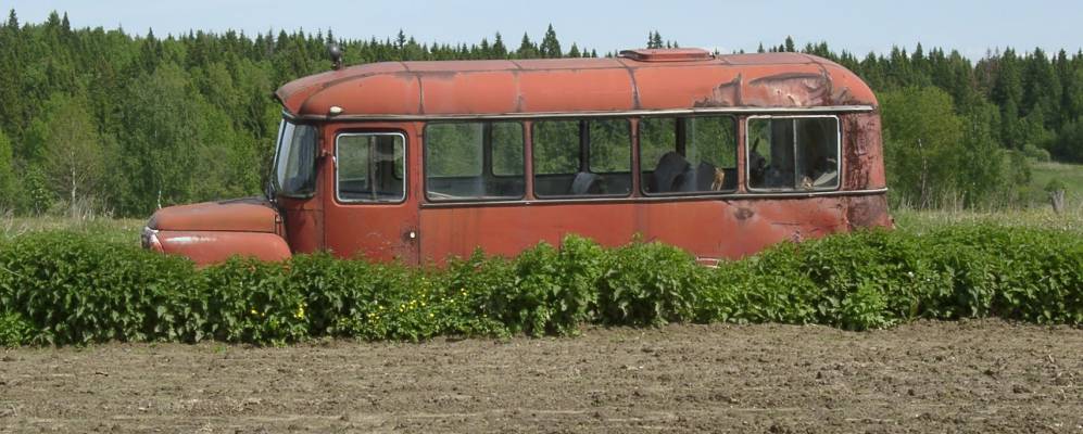Фотография Большого Дубинино