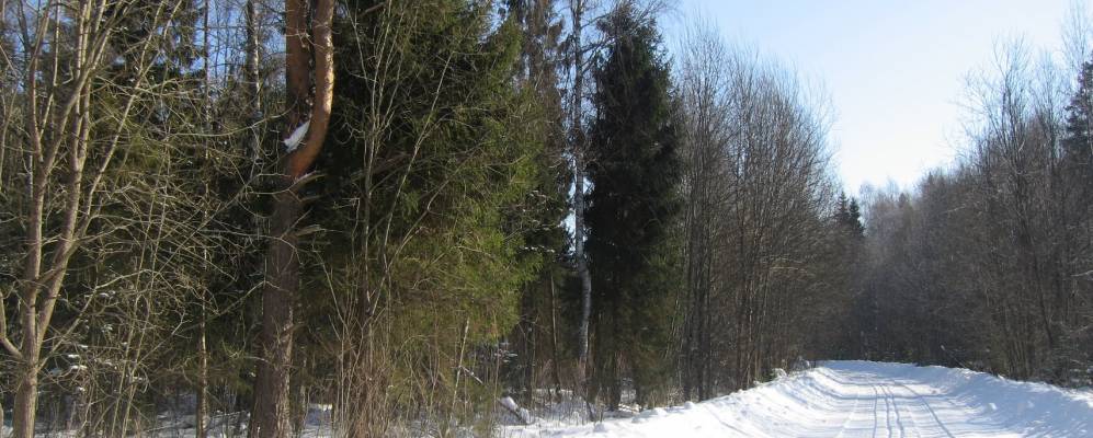 
            Фотография Коприно