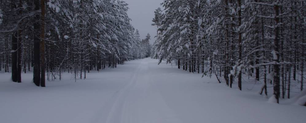 
            Фотография Мараксы 1-й