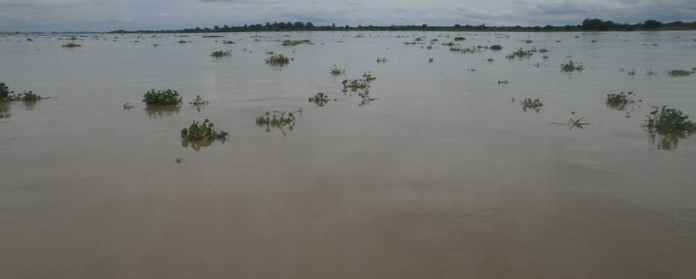 
            Фотография Ичеу