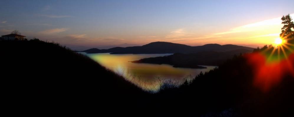 
            Фотография Неохориона