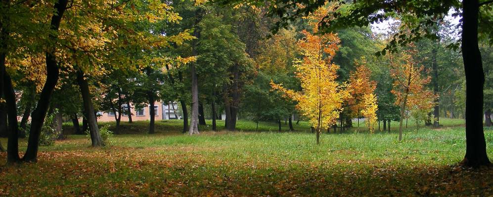 
            Фотография Старого Села