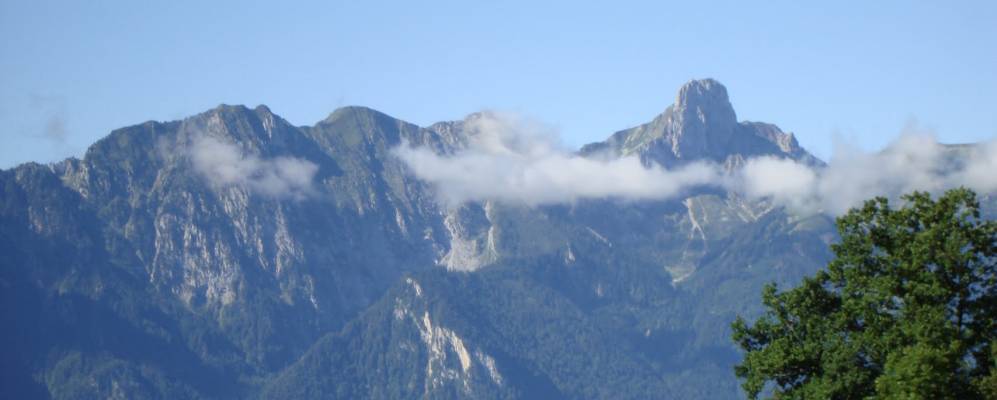 
            Фотография Голдвильа