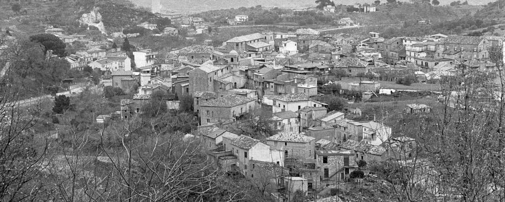 
            Фотография Даволи