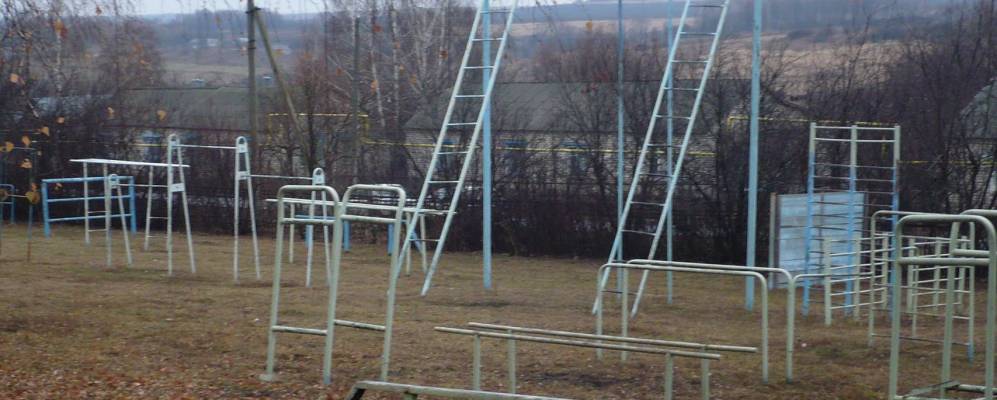 
            Фотография Черника