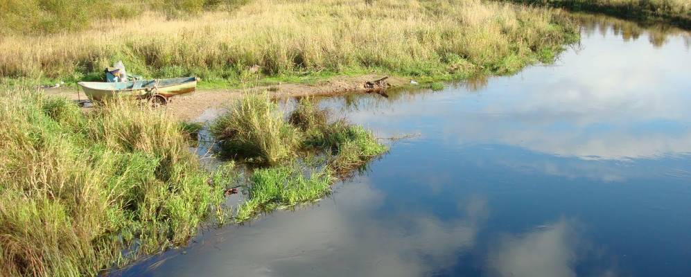 
            Фотография Никитина Починка