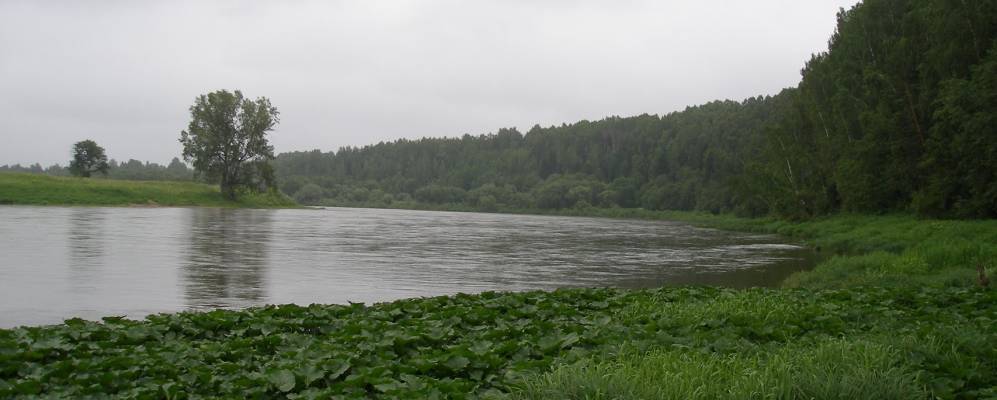 Фотография Полетаево