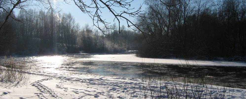 
            Фотография Рыжаково