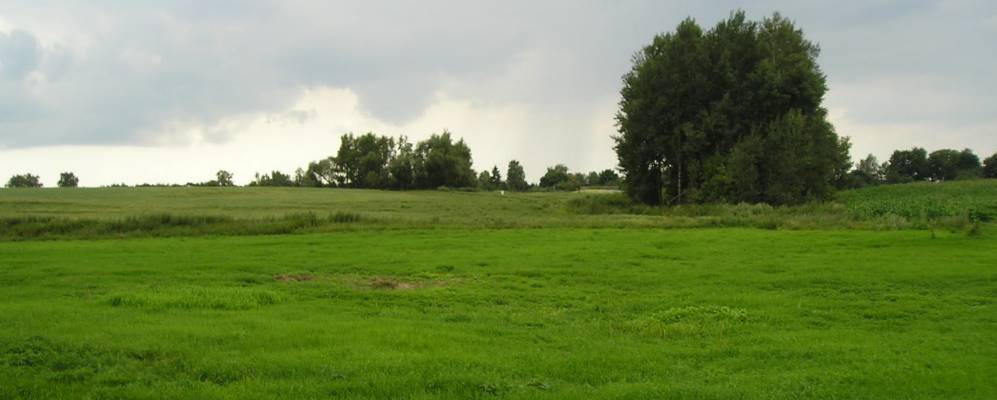 
            Фотография деревни Мошенаки