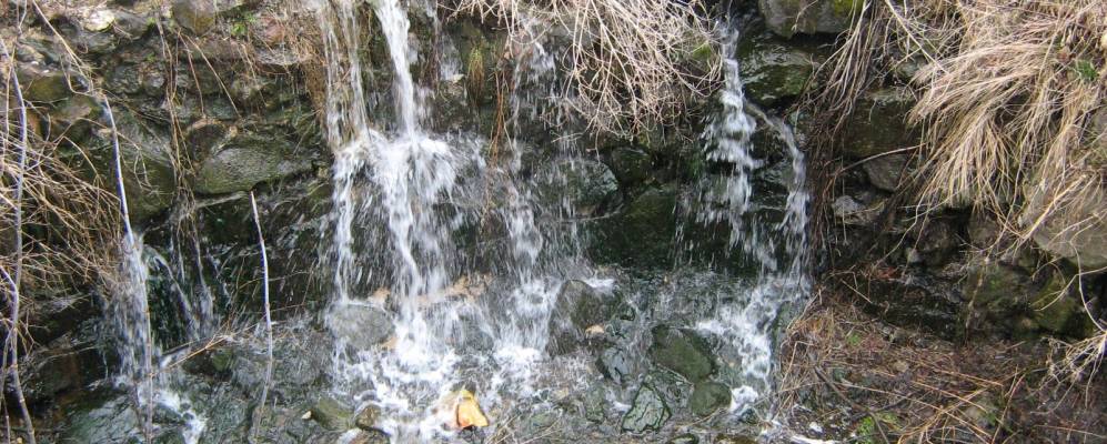 Фотография Великой Чернявки