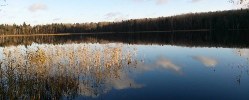 
            Фотография Городища