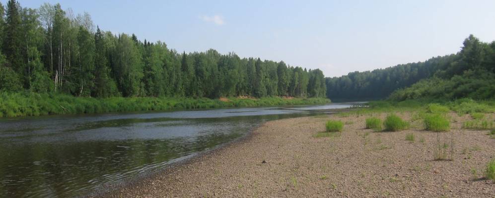 
            Фотография Лихого